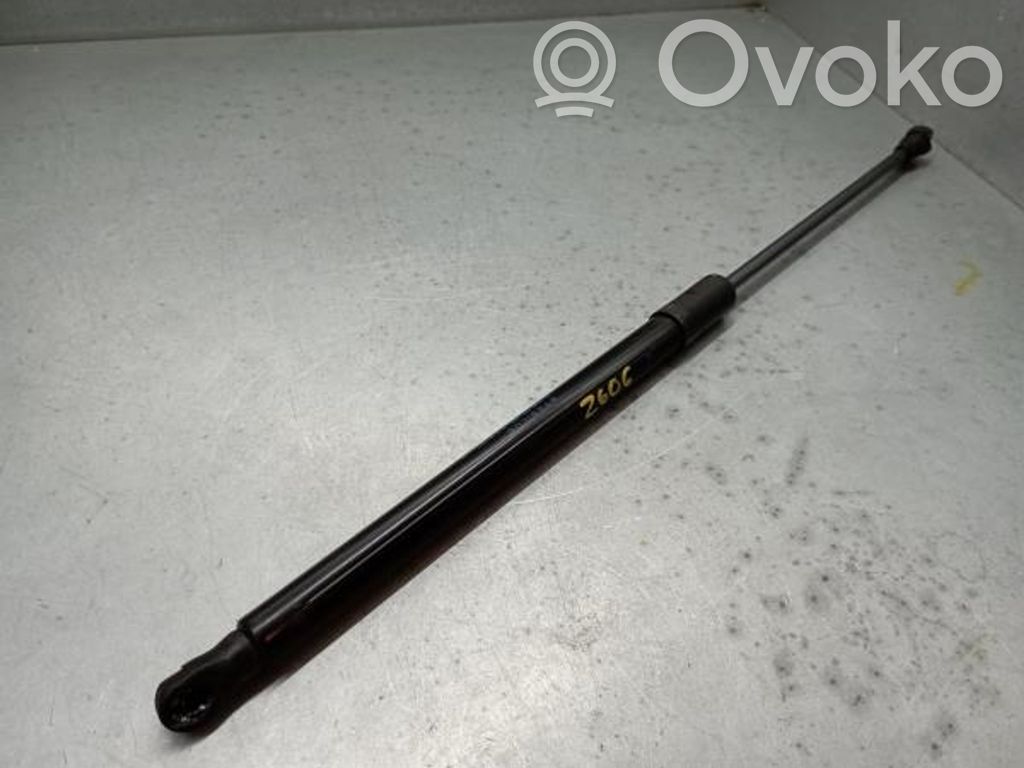Tailgate/trunk strut/damper   904508213R,038039,360N,DIREITO