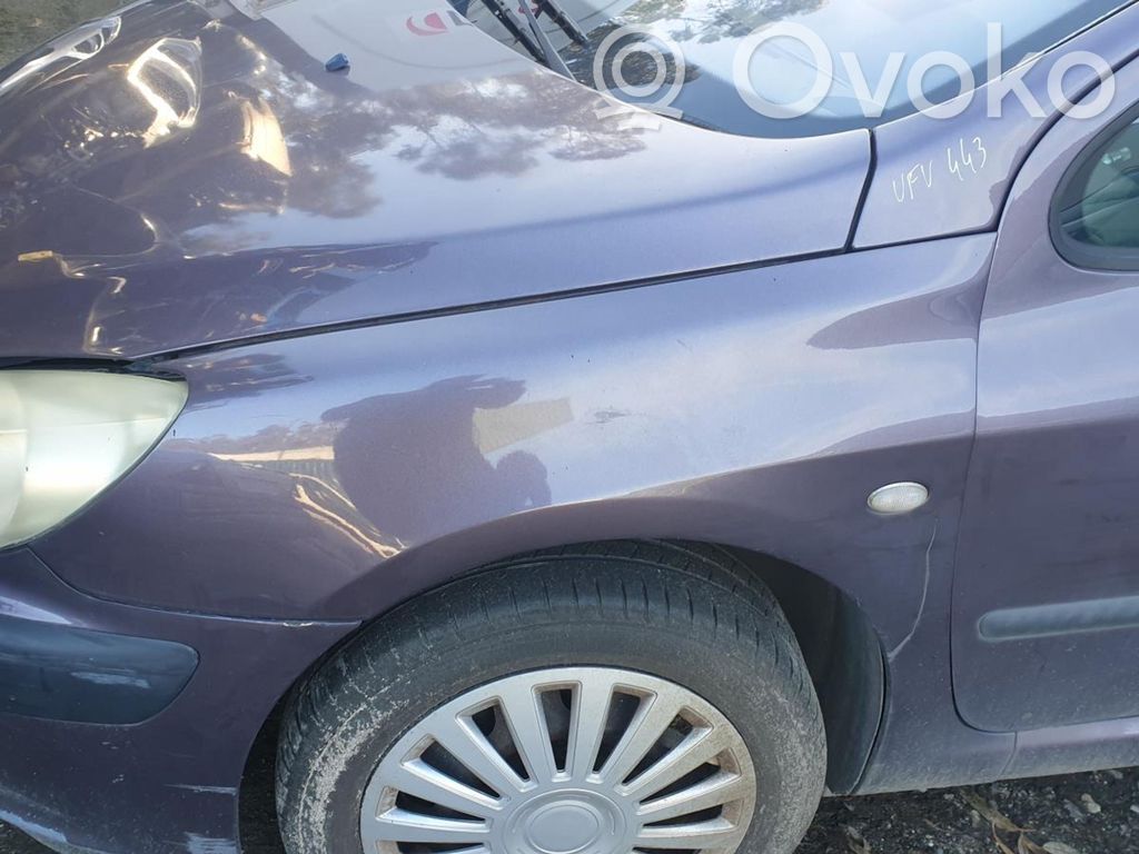 Peugeot 307 Sparnas 