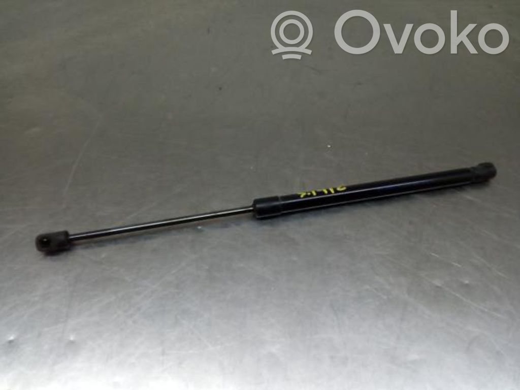 Tailgate/trunk strut/damper   904508959R