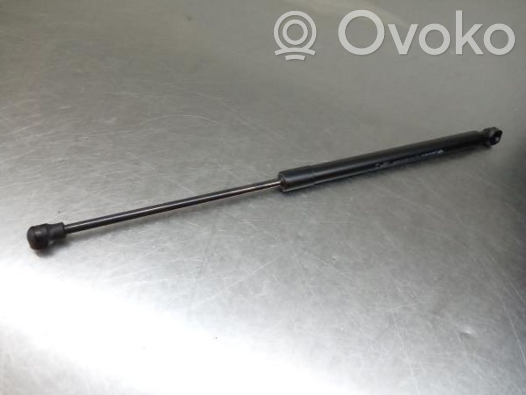 Tailgate/trunk strut/damper   904507649R