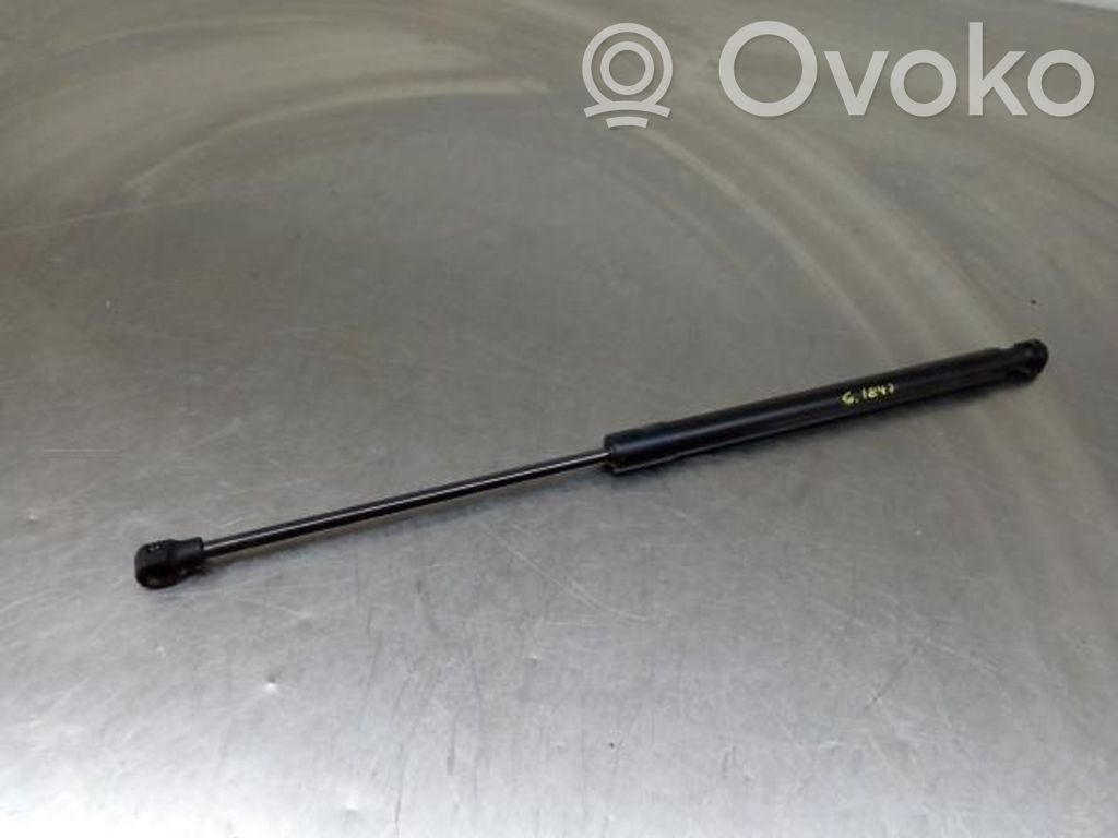 Tailgate/trunk strut/damper   904507649R