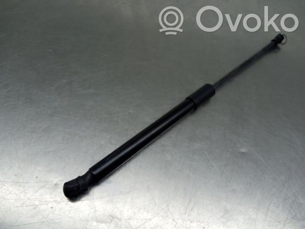 Tailgate/trunk strut/damper   904514584R