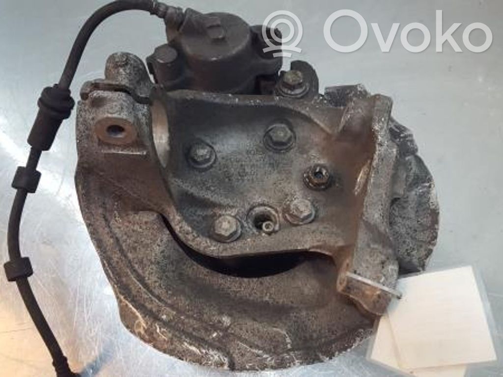 Front wheel hub spindle knuckle   3121676444403,12201210