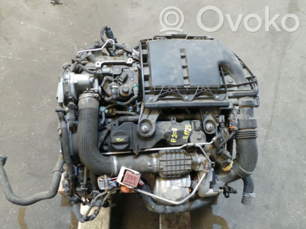 Engine   8H01,0513825,10FDBZ,61000KM,MOTORC