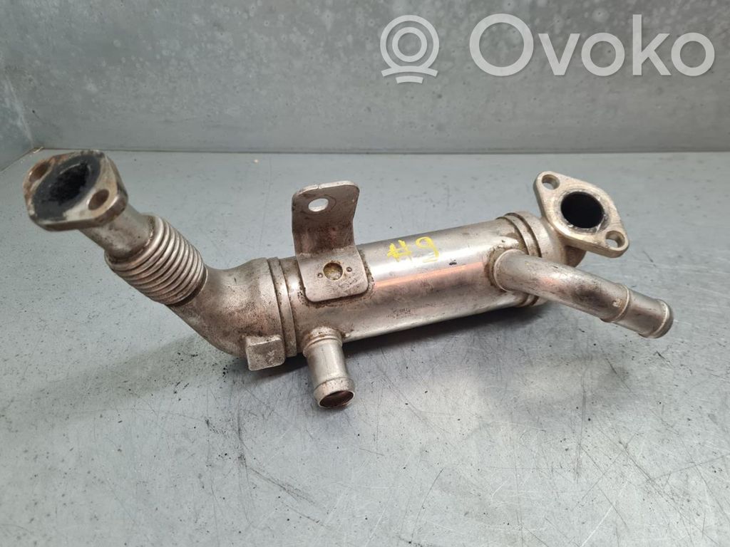 Engine oil radiator   284162A410V1,284202A400