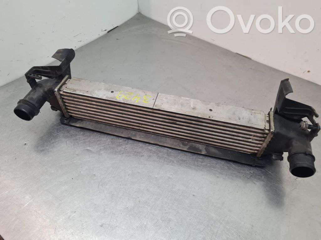Interkūlerio radiatorius   96166,0049096,0W0,1918,NISSENS