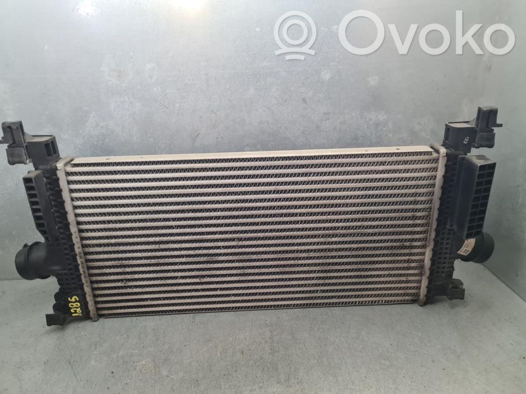 Intercooler radiator   13267646,0951A