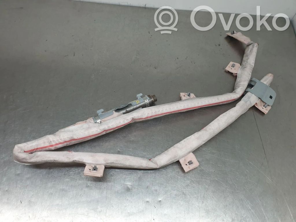 Airbag del techo   5JA880742