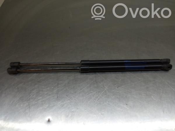 Tailgate/trunk strut/damper   638758325R