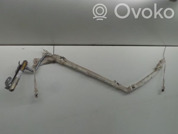 Renault Modus Roof airbag 