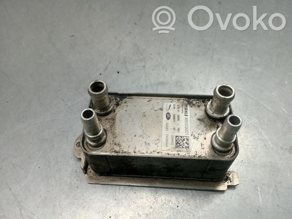 Ölkühler   AW837A095AA,308896,5303217,X6003001
