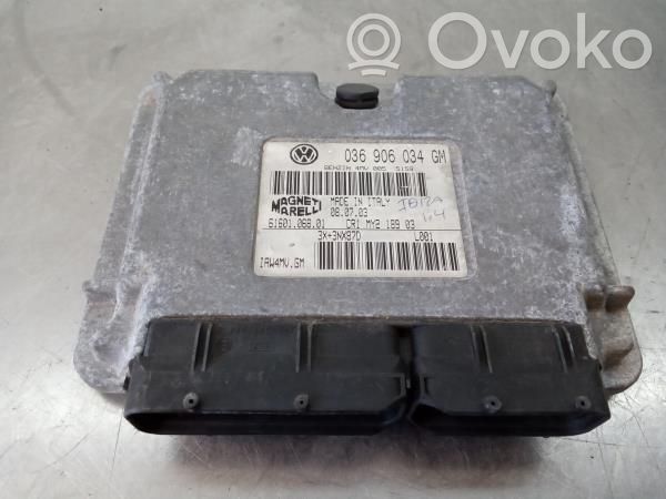 Seat Ibiza III (6L) Unitate/modul de control motor