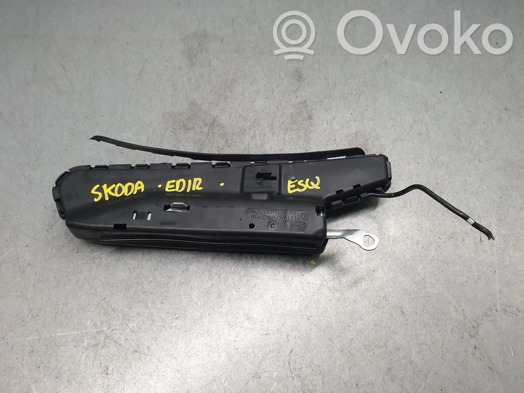 Skoda Octavia Mk2 (1Z) Airbag scaun 