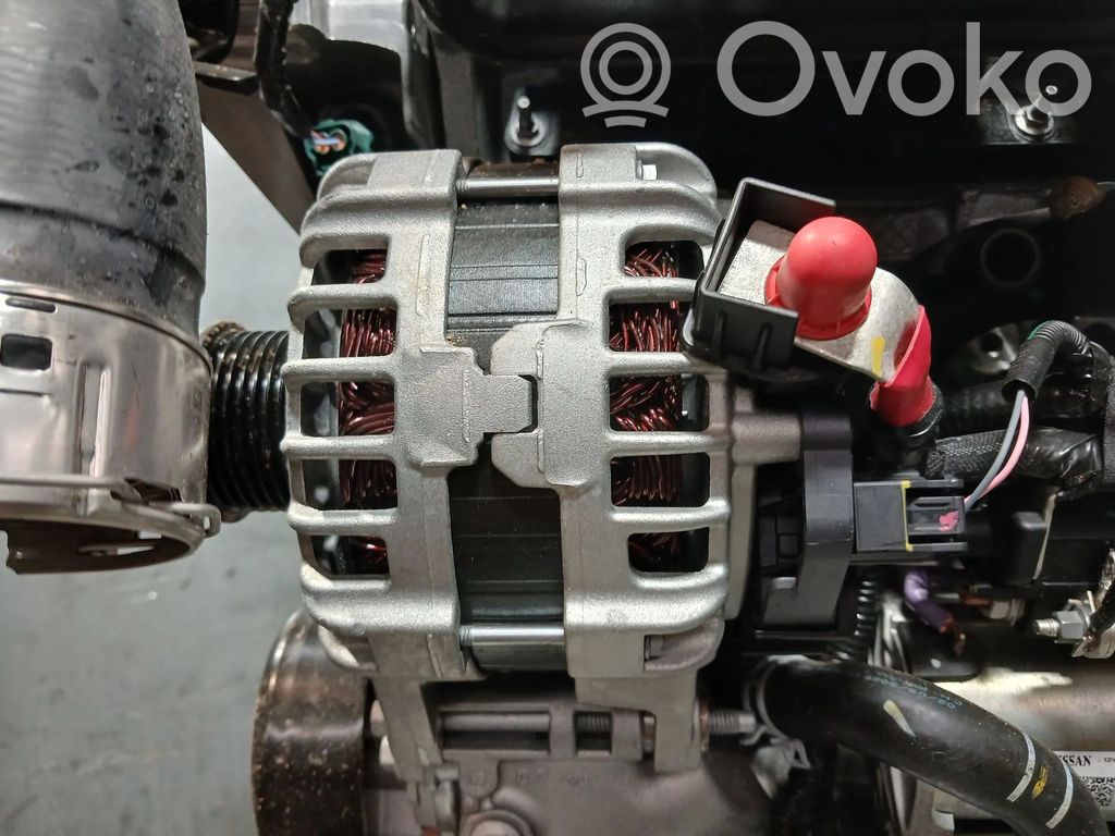 Alternator   231005607R,F000BL08GL,TL1251012