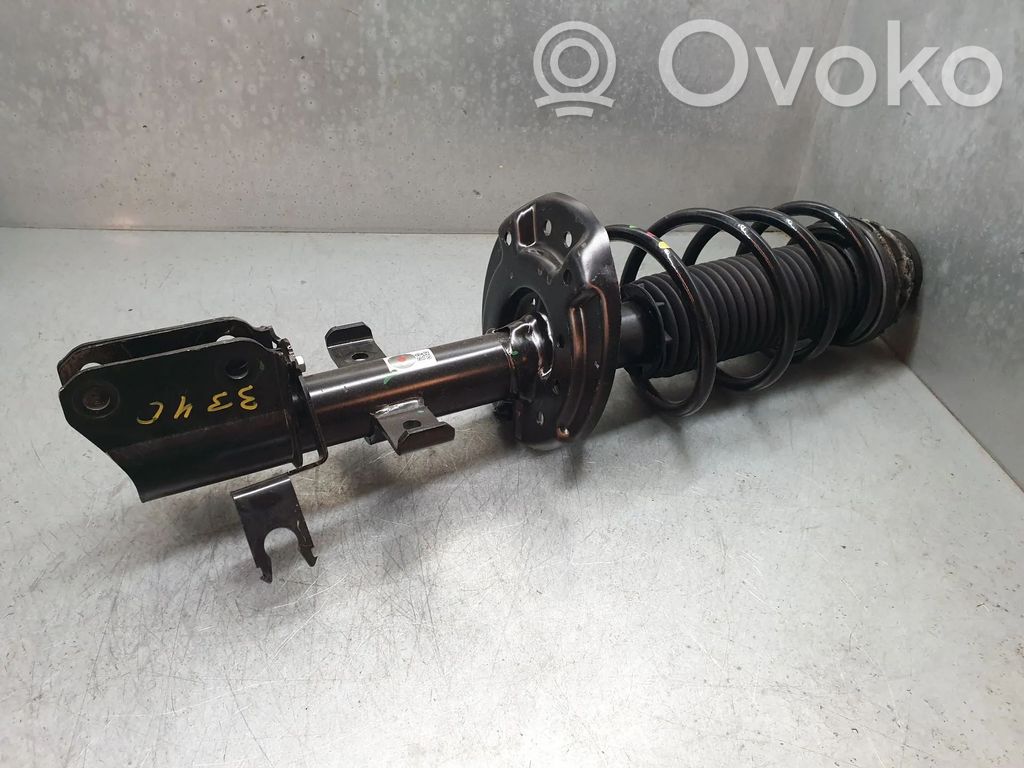 Stoßdämpfer vorne   543028378R