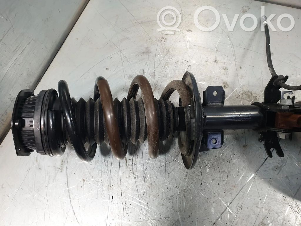 Amortiguador delantero   543021313R