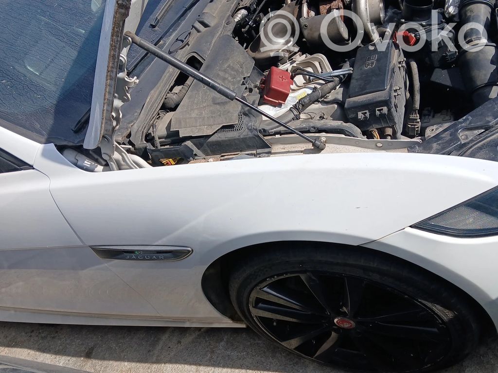 Jaguar XE Aripă 