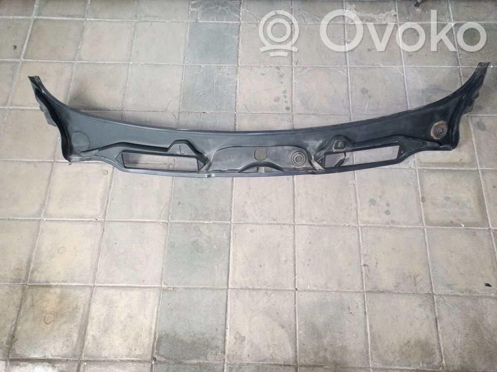 Moldura del limpia   718074303