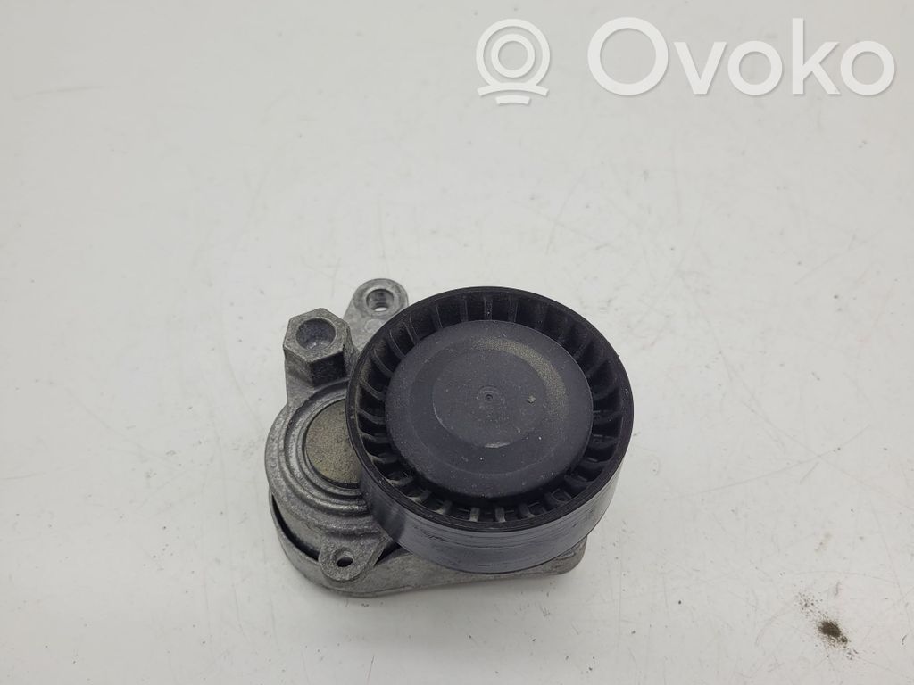 Volkswagen Golf VII Întinzător curea generator/alternator 