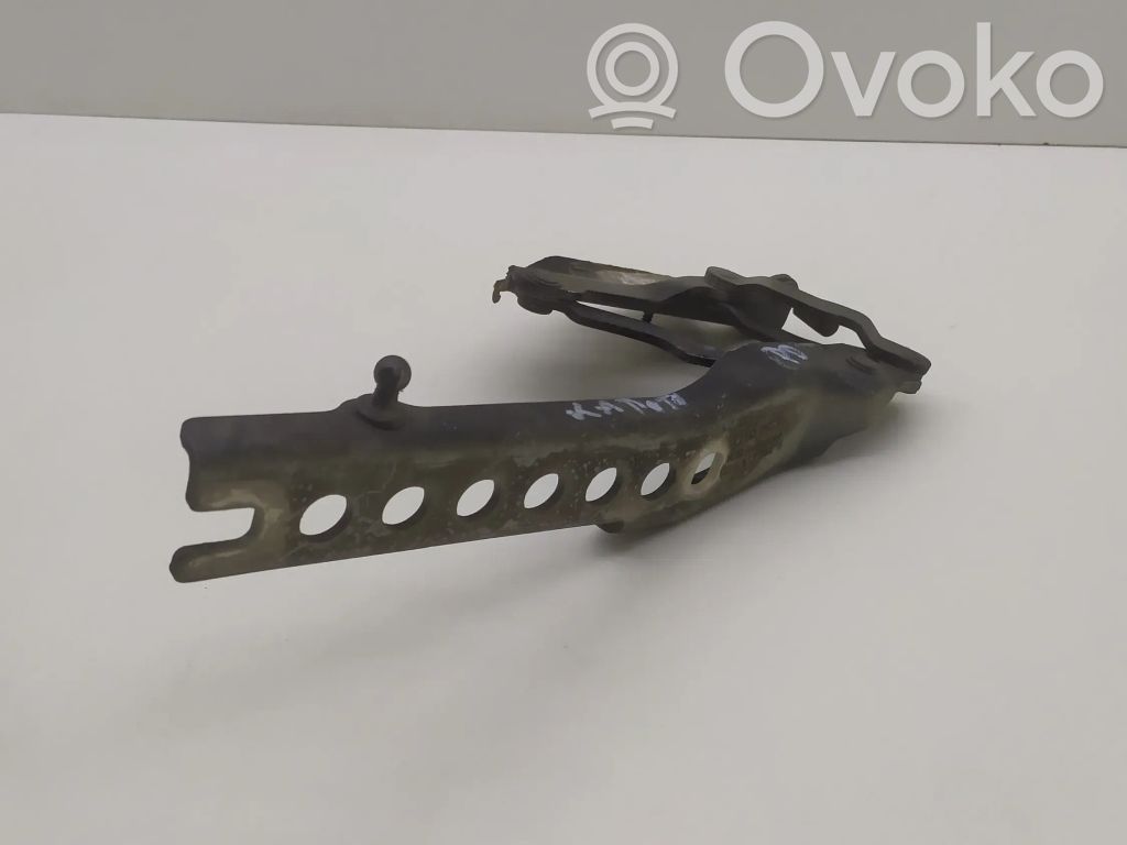 Audi A8 S8 D3 4E Engine bonnet/hood hinges 