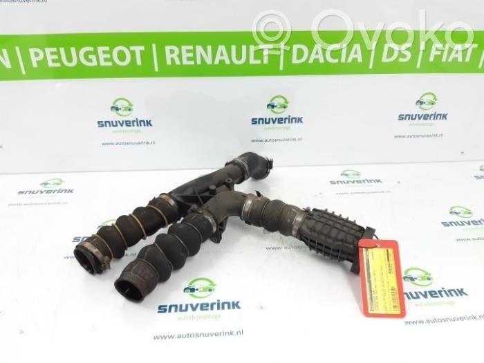 Citroen Berlingo Interkūlera šļūtene (-es) / caurule (-es) 