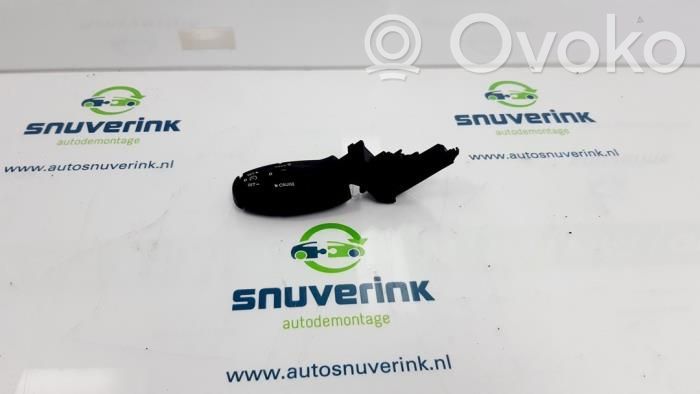 Citroen DS3 Pastovaus greičio jungtukas 