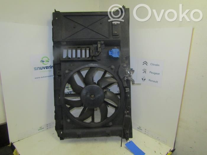 Elektryczny wentylator chłodnicy   1253K4,1253F0,1253F8,1253G7,1253K2,1253K7,9661571480,988495H