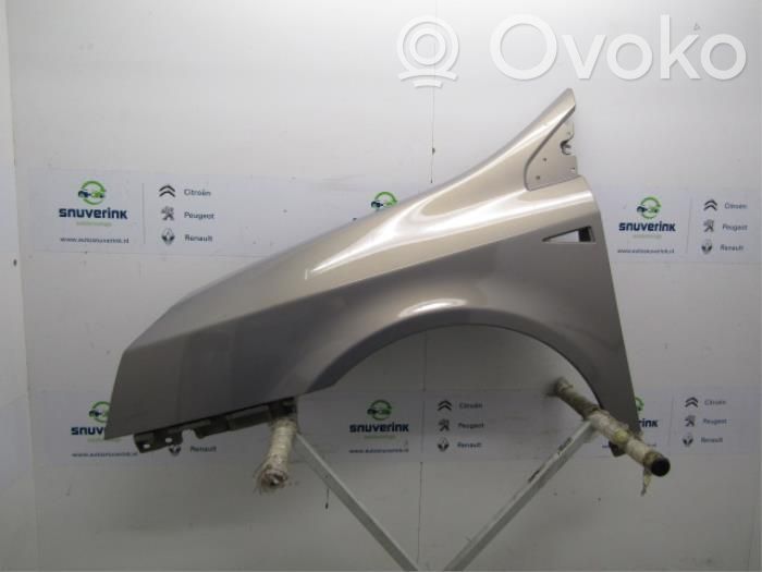 Renault Vel Satis Guardabarro 