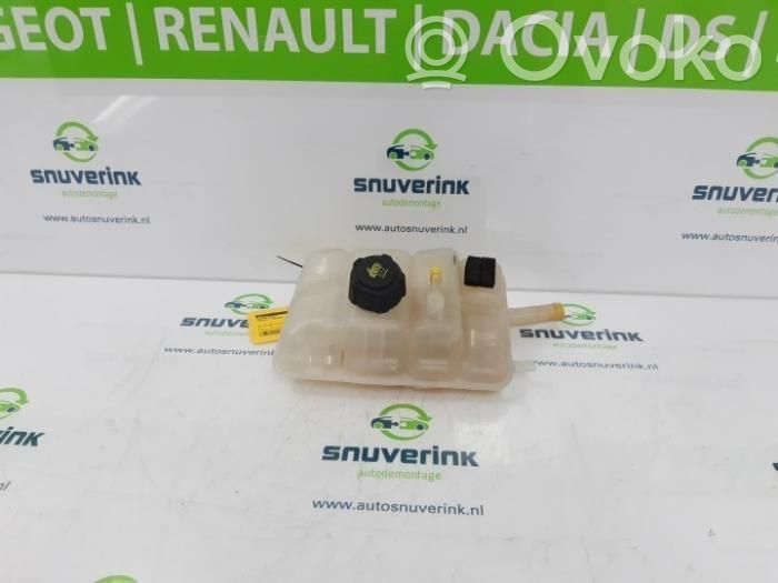 Renault Megane IV Vas expansiune/rezervor lichid de răcire