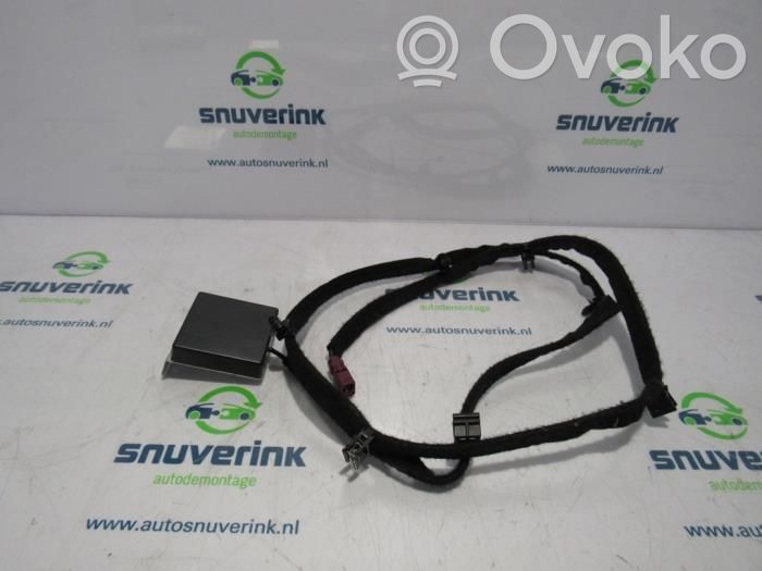 Renault Zoe Radion antenni