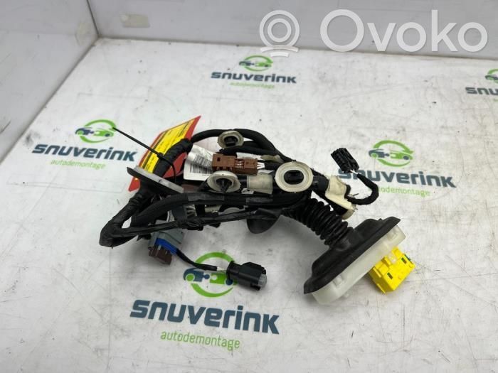 Citroen C4 Cactus Cablaj motor 