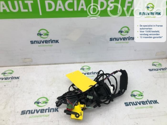 Wiązka przewodów silnika   116764000,4515219P,870207594R