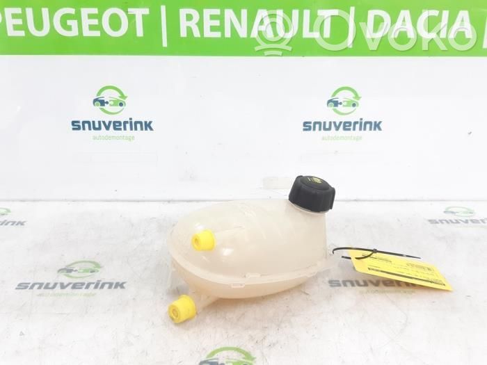 Renault Clio V Serbatoio di compensazione del liquido refrigerante/vaschetta 