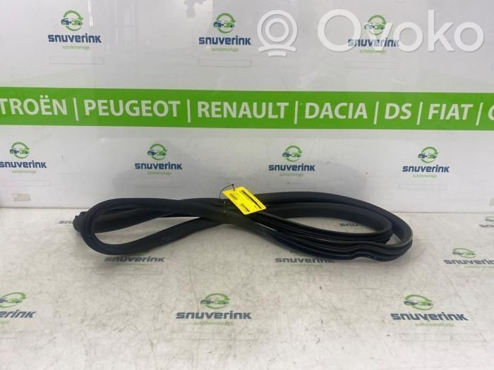Renault Zoe Guarnizione in gomma portiera anteriore