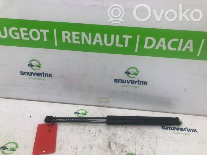 Citroen C1 Ammortizzatore portellone posteriore/bagagliaio