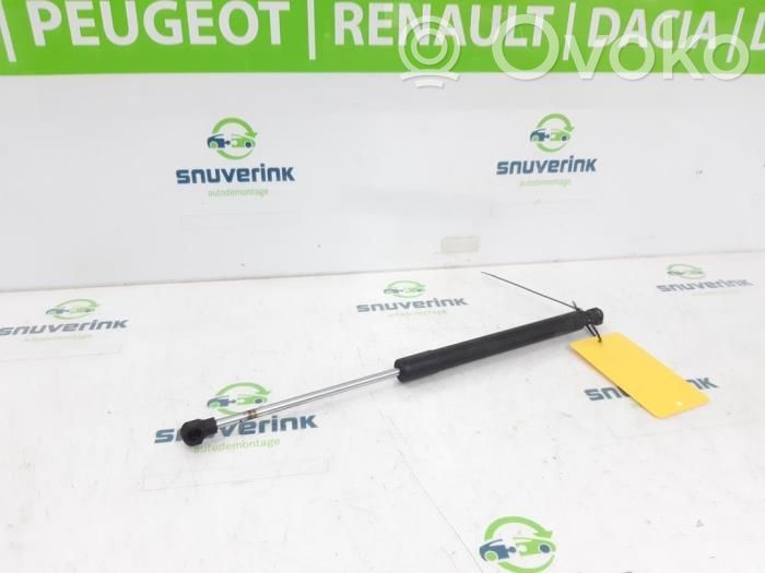 Renault Clio IV Ammortizzatore portellone anteriore/cofano 