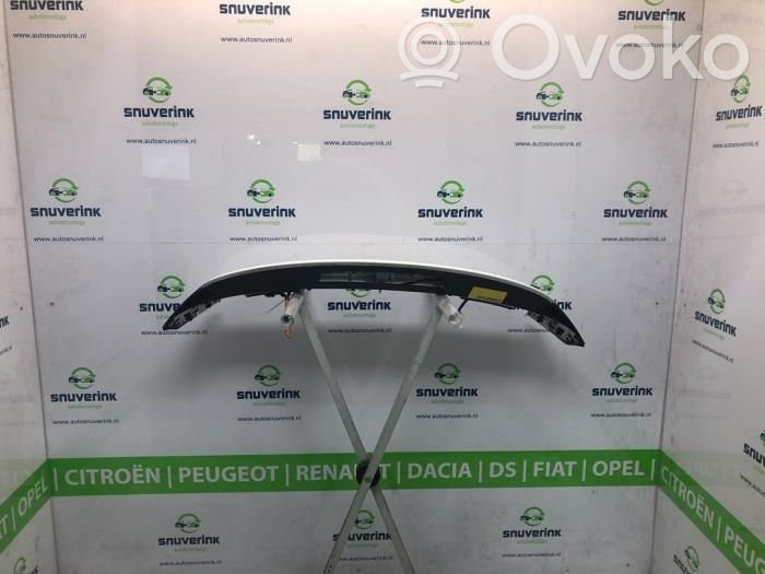 Citroen C4 Cactus Tailgate/trunk spoiler 