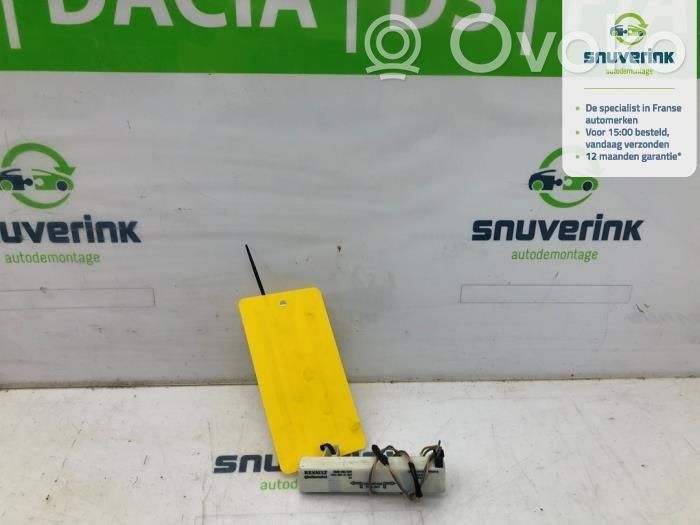 Radion antenni   285906352R
