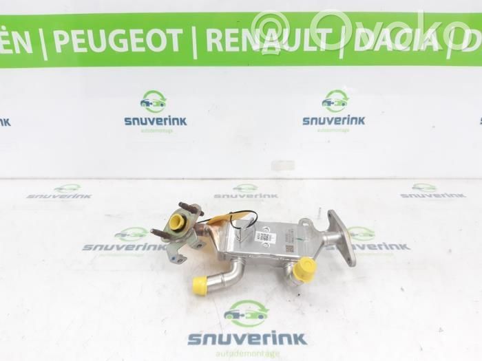 Renault Arkana Răcitor supapă EGR 
