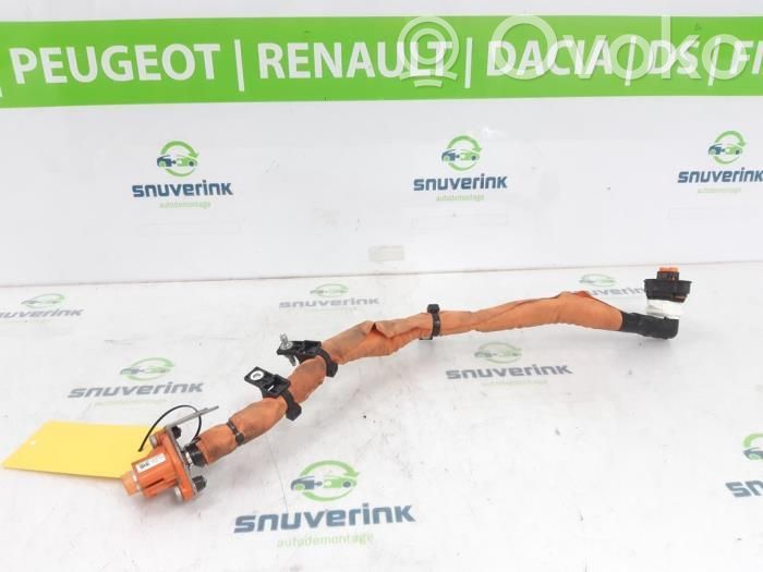 Renault Arkana Engine installation wiring loom 