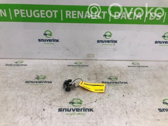 Renault Trafic III (X82) Cavo negativo messa a terra (batteria)