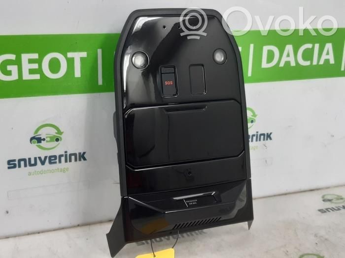 Renault Austral Luz del asiento delantero 