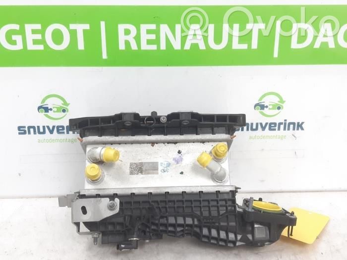 Renault Austral Imusarja 