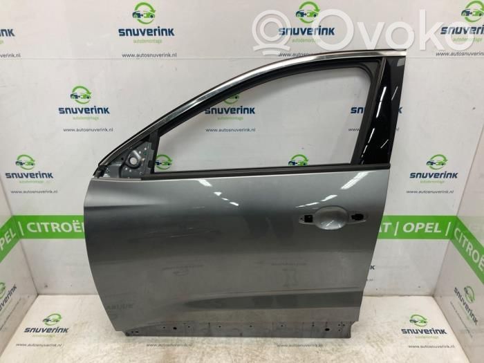 Renault Austral Puerta delantera 