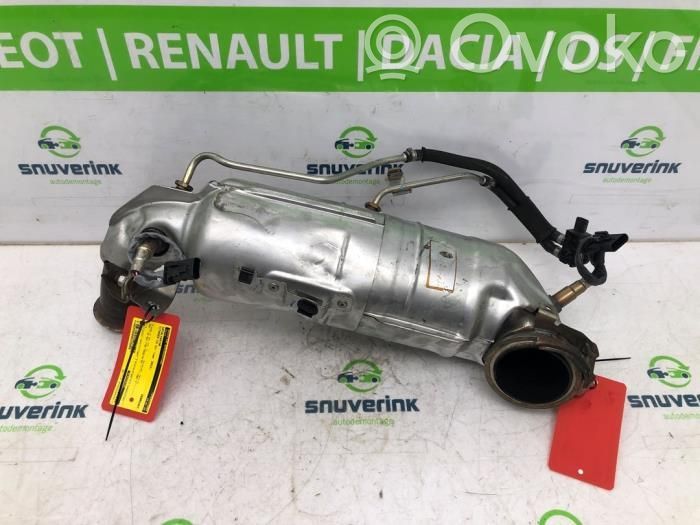 Citroen C4 II Filtru de particule catalizator/FAP/DPF 