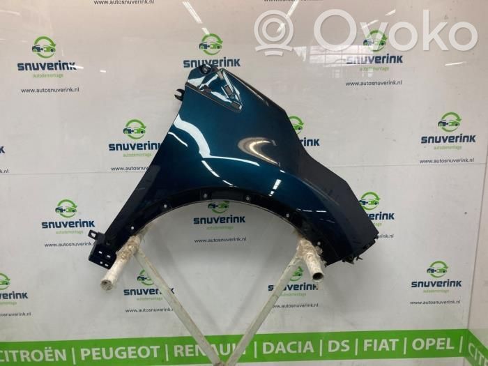 Renault Captur Fender 