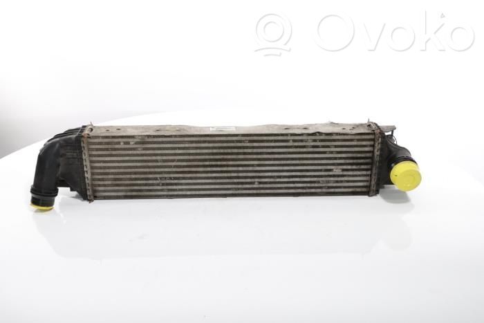 Renault Trafic III (X82) Radiator intercooler 