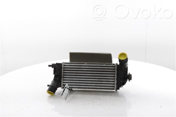 Radiador intercooler   L1BG6D624AB,2524812,2524812