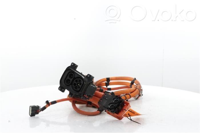 Citroen C4 II Toma de carga para coche eléctrico 