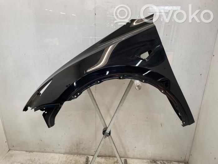Tesla Model Y Spārns 